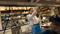 diabetes research in Columbia's diabetes research center